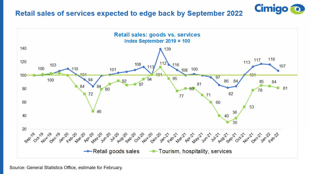 Vietnam Retail Sales Goods vs Services 2022