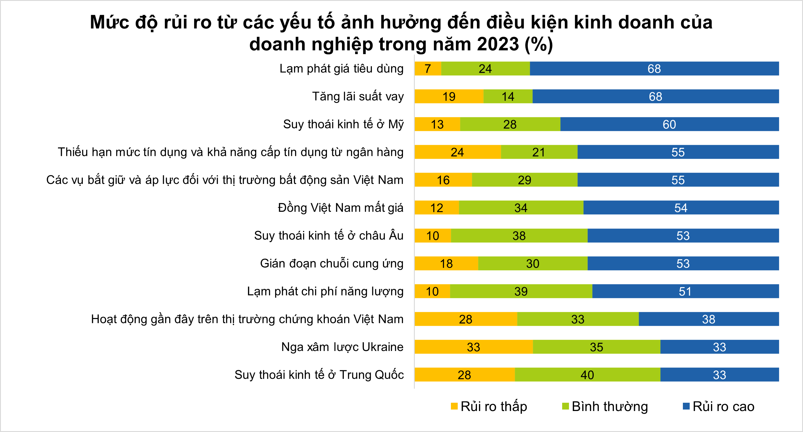 CEO Pulse Vietnam Rủi ro năm 2023