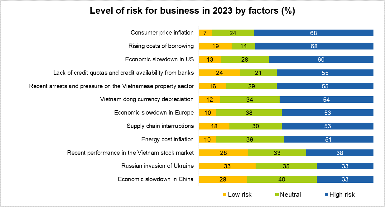 CEO Pulse Vietnam 2023 Risks