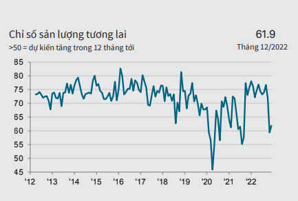 S&P PMI Kỳ vọng kinh doanh Vietnam thang 12 nam 2022