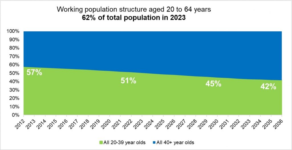 Vietnam working population age profile