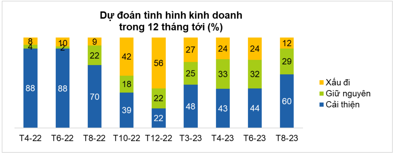 Vietnam CEO Pulse Business Confidence 2023 - 11-10-23