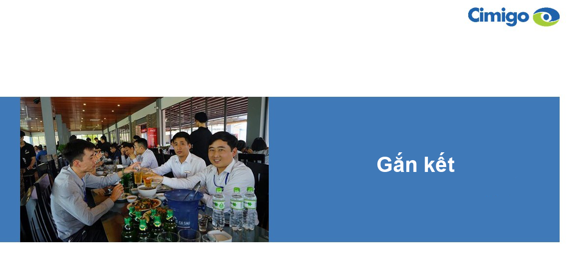 Gắn kết