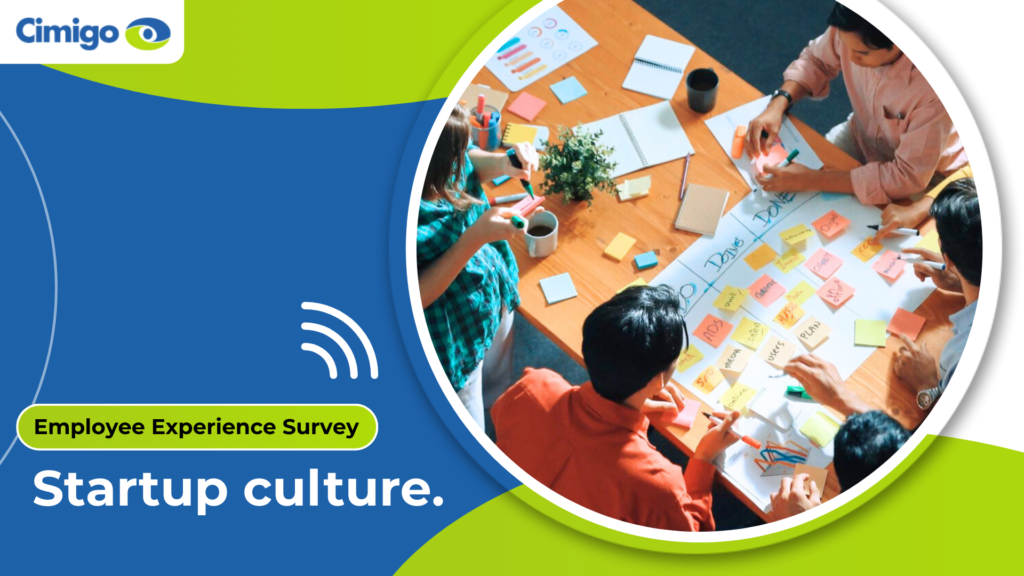 Small startup using employee feedback to improve team culture and decision-making